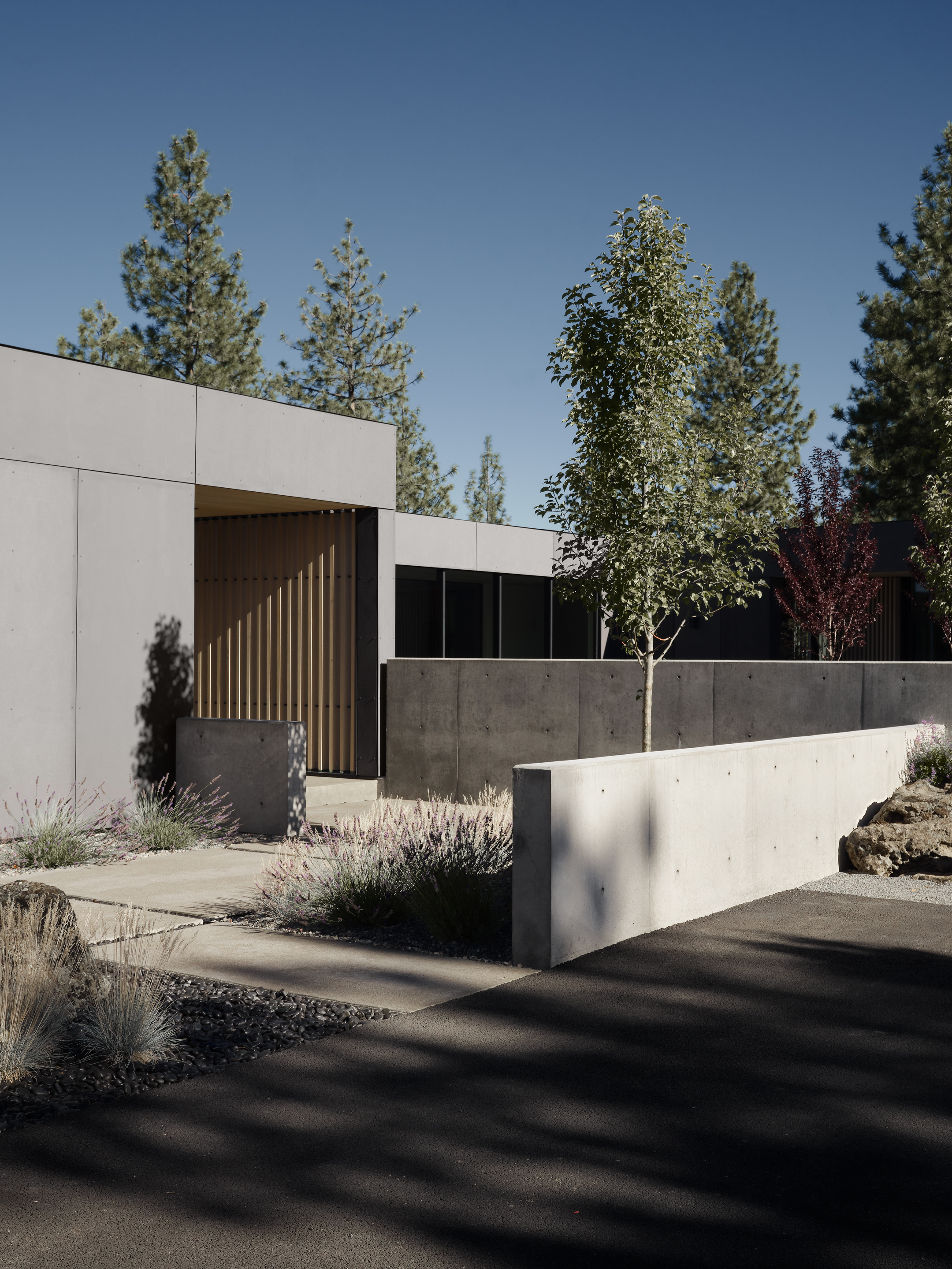 Image of an Oregon house, the Bend Hideaway, a linear modern home among trees and open to nature