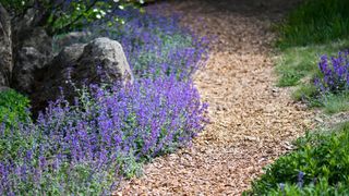 A curved path made using bark chippings