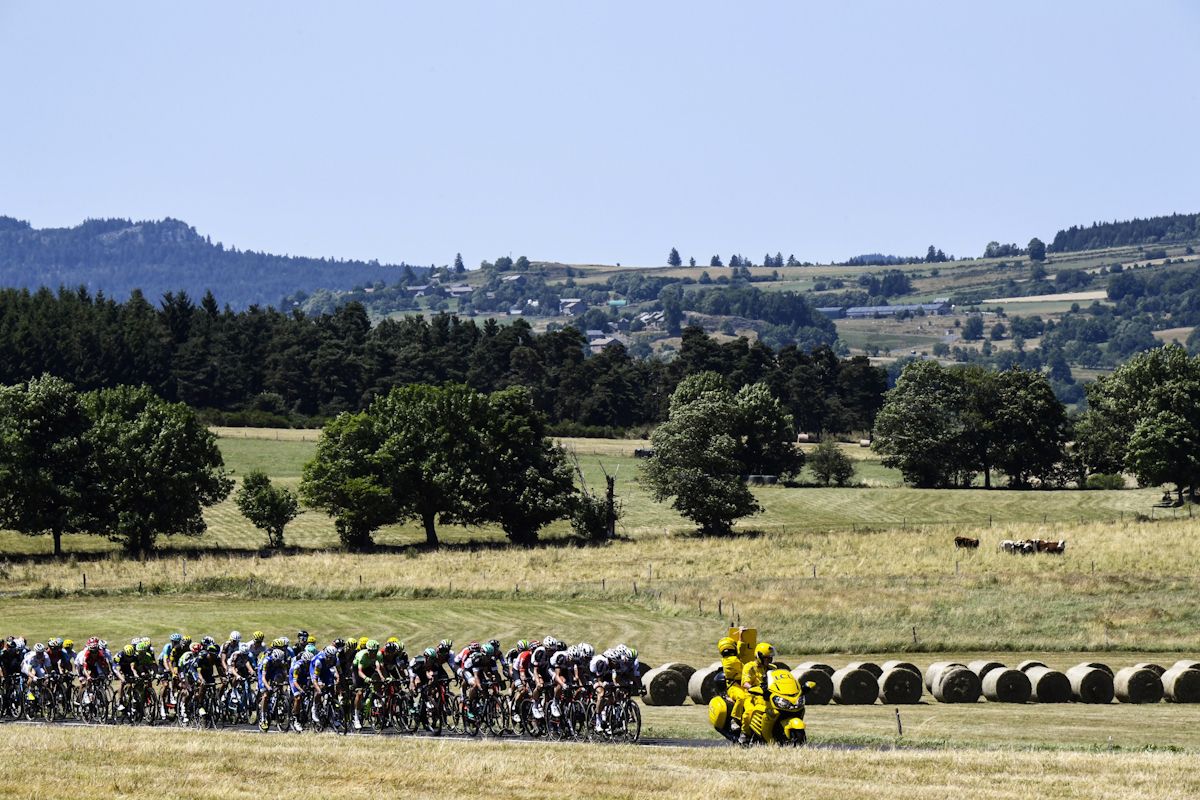 The peloton in action during stage 16 at the Tour de France