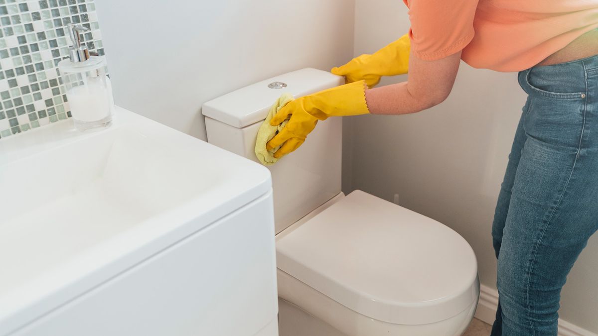 woman cleaning toilet