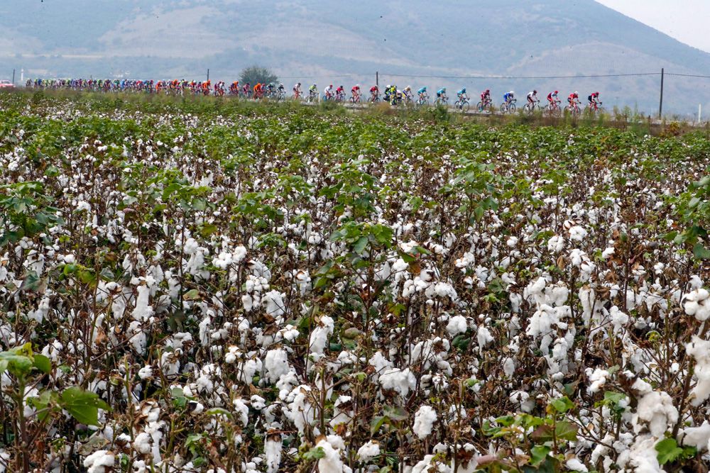 The stage visited the cotton fields of Turkey