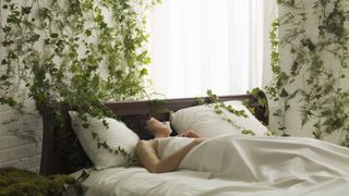 How to fall asleep faster at night: A woman sleeps in a white bed surrounded by green ivy on the walls