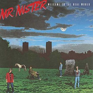 Mr. Mister: Welcome To The Real World cover art