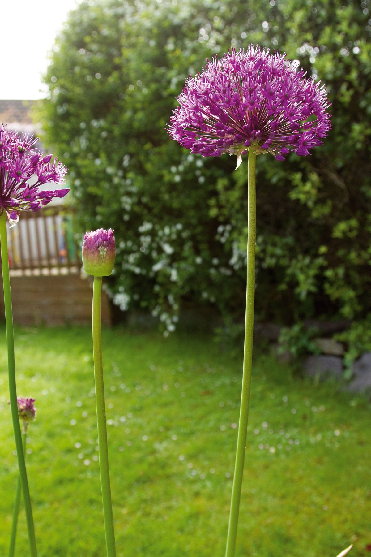 At 24mm there is too much background clutter&hellip;