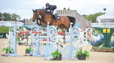 Laura Kraut (USA ) riding Vvaramog de Brevve at Bolesworth in 2019