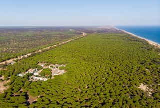 A bird's-eye view of Doñana National Park.