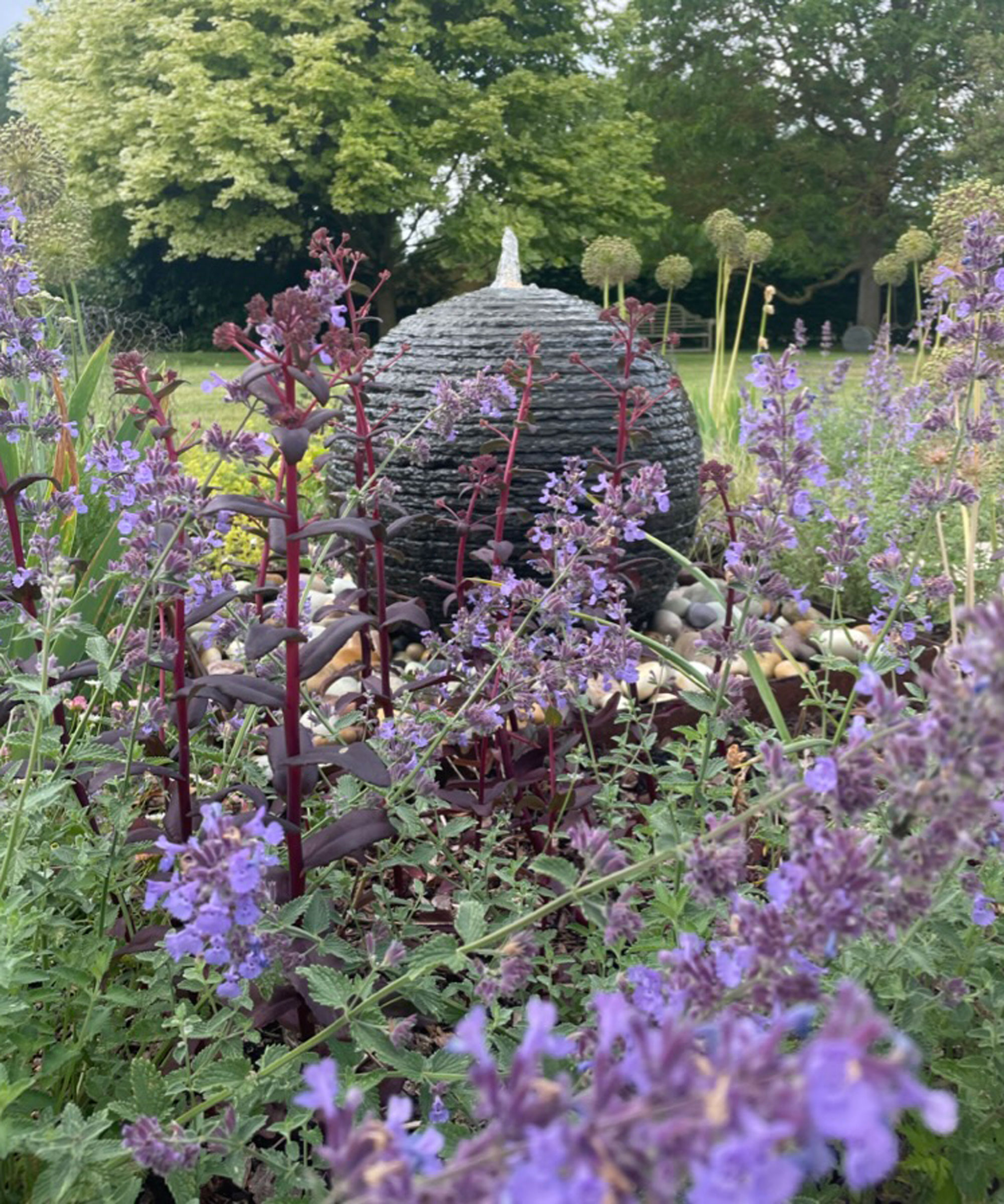 purple planting design featuring nepeta, alliums and Hylotelephium 'Purple Emperor&amp;rsquo; with a bubbling slate water feature