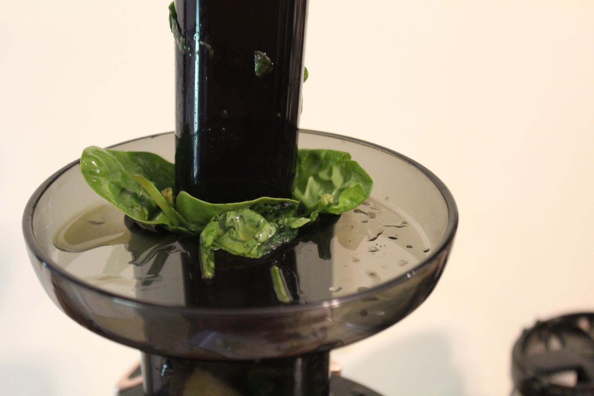 Hurom H-AA Slow Juicer