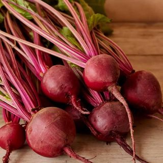 Beet, Detroit Dark Red