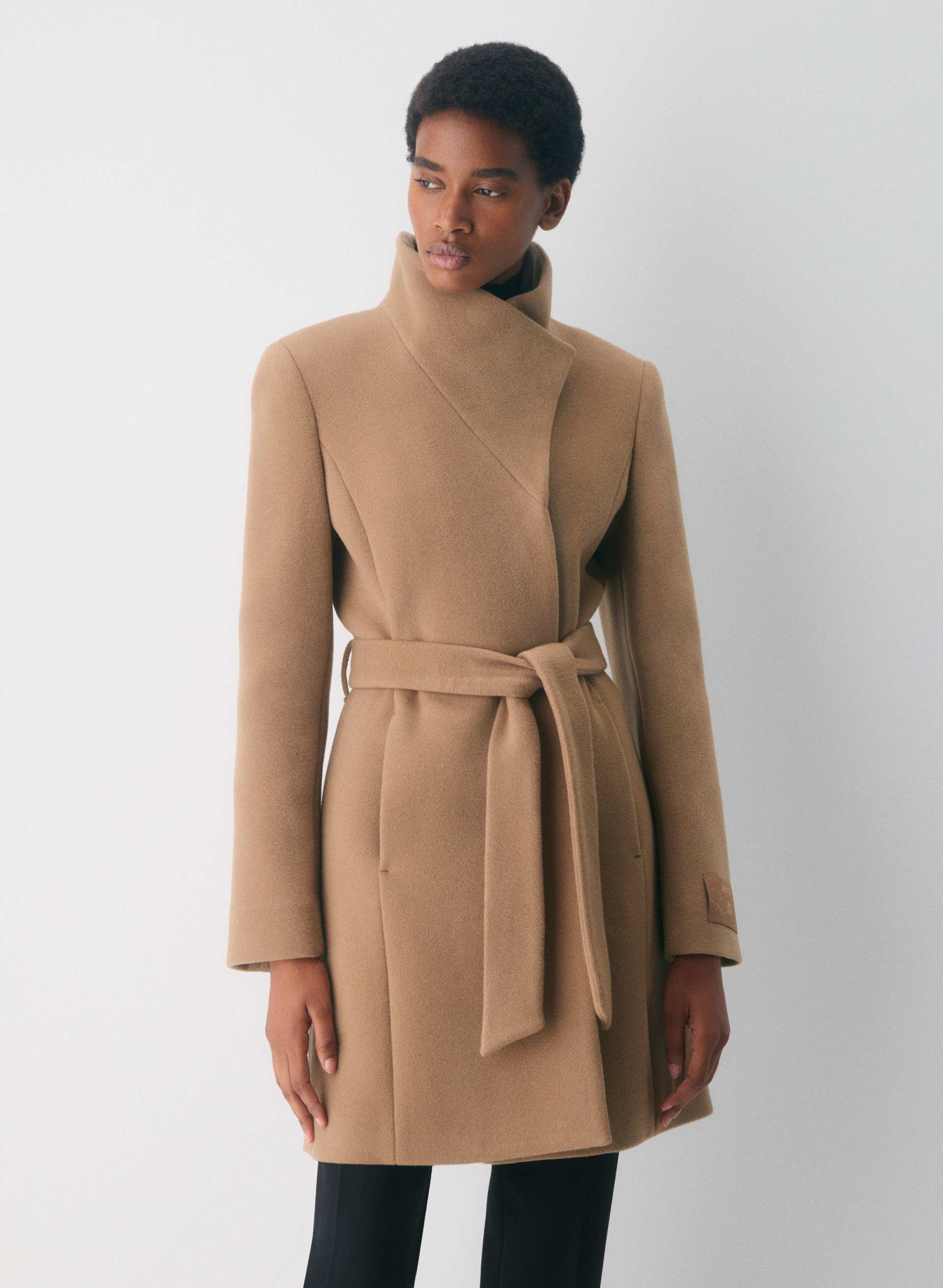 aritzia, The Connor Coat