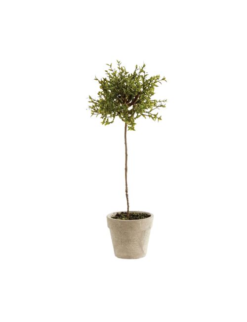 Artificial Thyme Herb Topiary Potted Plant