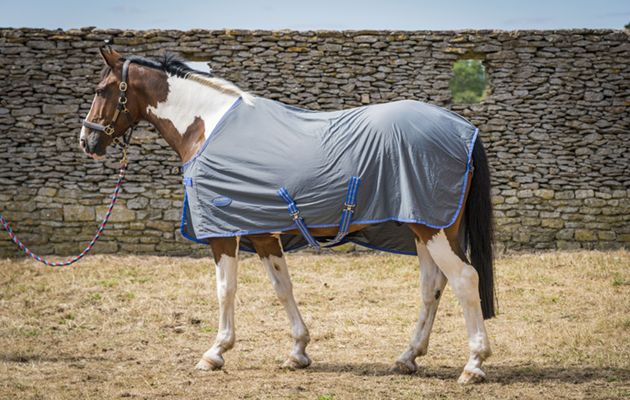 Weatherbeeta Ezi-Dri Standard Neck review