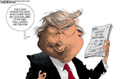 Political cartoon U.S. anonymous op-ed New York Times op-ed Trump treason