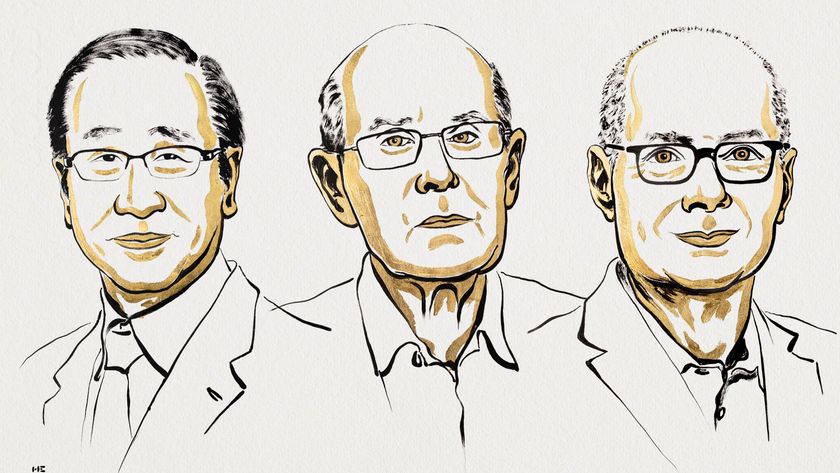 An illustration of the 2025 Nobel Prize in Chemistry winners. 