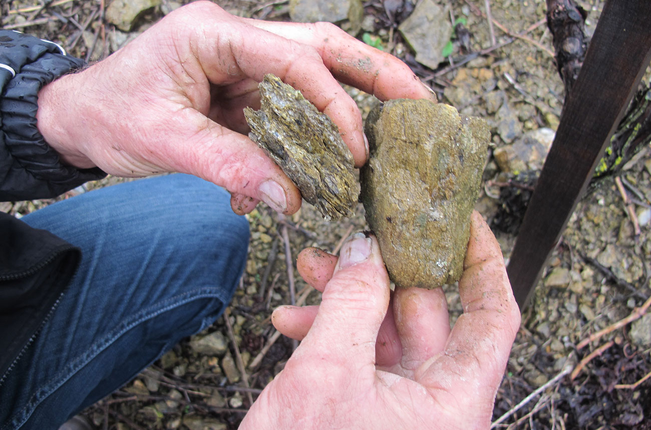 Cote Rotie soils