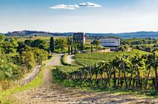 Collemassari_winery.jpg