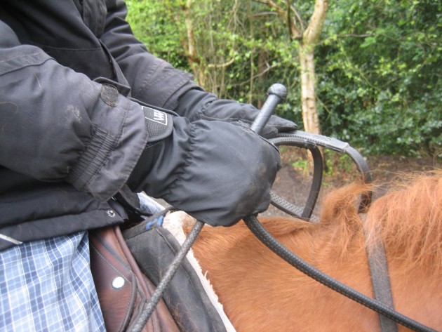 Woof wear waterproof gloves