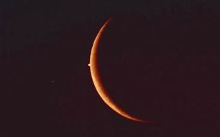 Moon Occults Venus