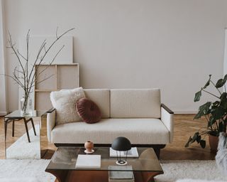 Neutral sofa in living room