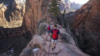 why do so many people die at Angel's Landing?: hikers going up ridge