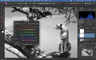 Affinity Photo