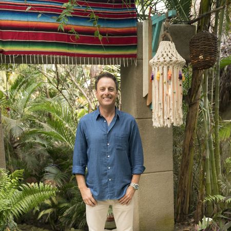The 'Bachelor in Paradise'