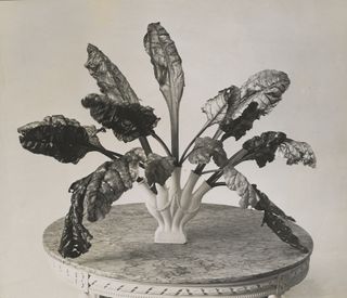 Chard leaves in a vase arrangement by Constance Spry, photo Reginald Malby, c.1935