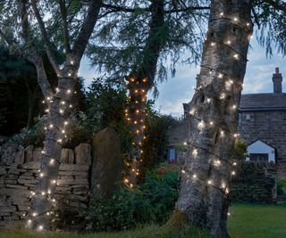 outdoor string lights wrapped around a tree