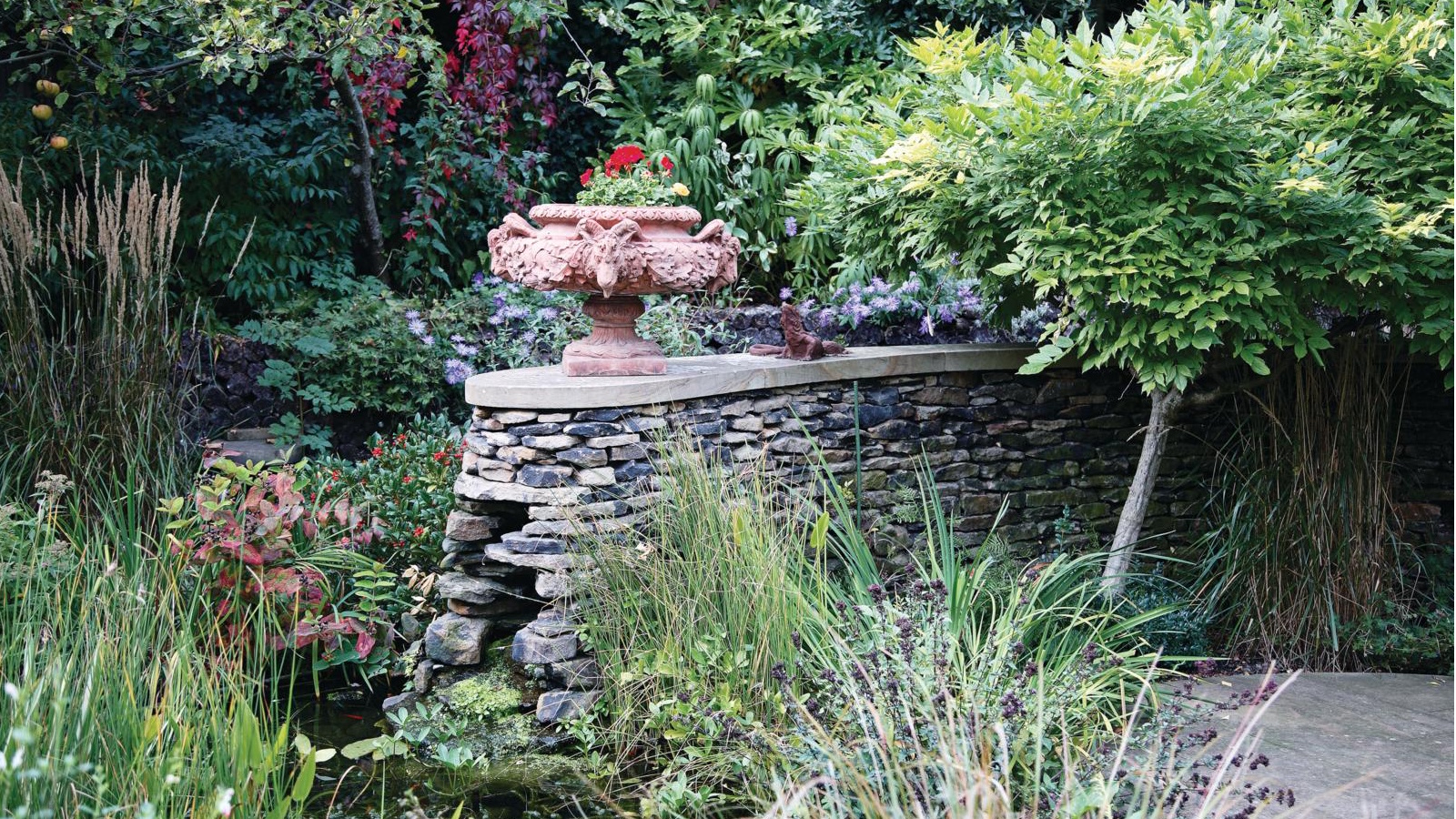 Grasses for containers