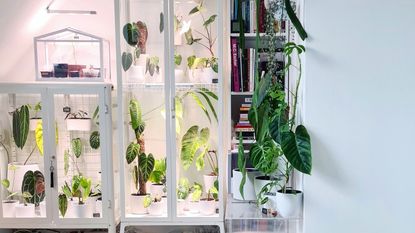 IKEA greenhouse cabinets