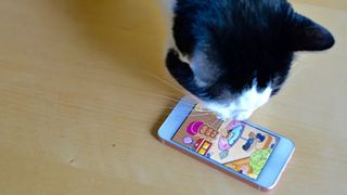 Neko Atsume on iPhone with real cat sniffing it. 