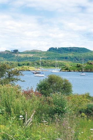 The marina at Loch Craignish view from a coastal home