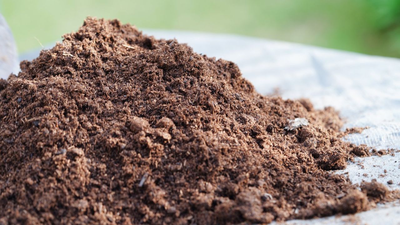 A small pile of soil