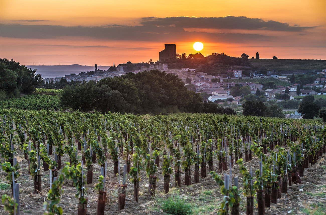 Vaucluse view across vineyards