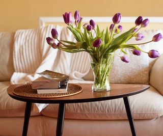Purple tulips with curved stems in glass vase on round, wooden table