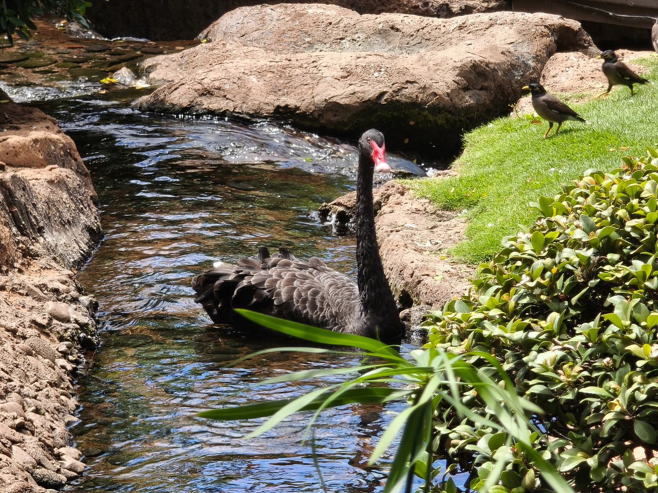 Xiaomi 15T Pro camera samples