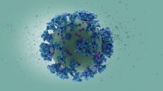 A coronavirus illustration.