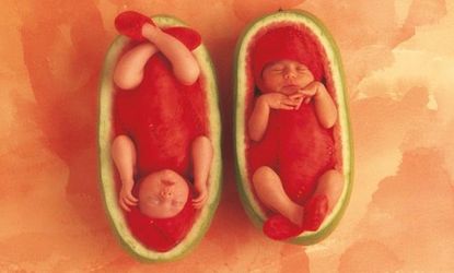 Watermelon babies