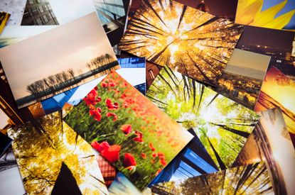 An array of various print photos