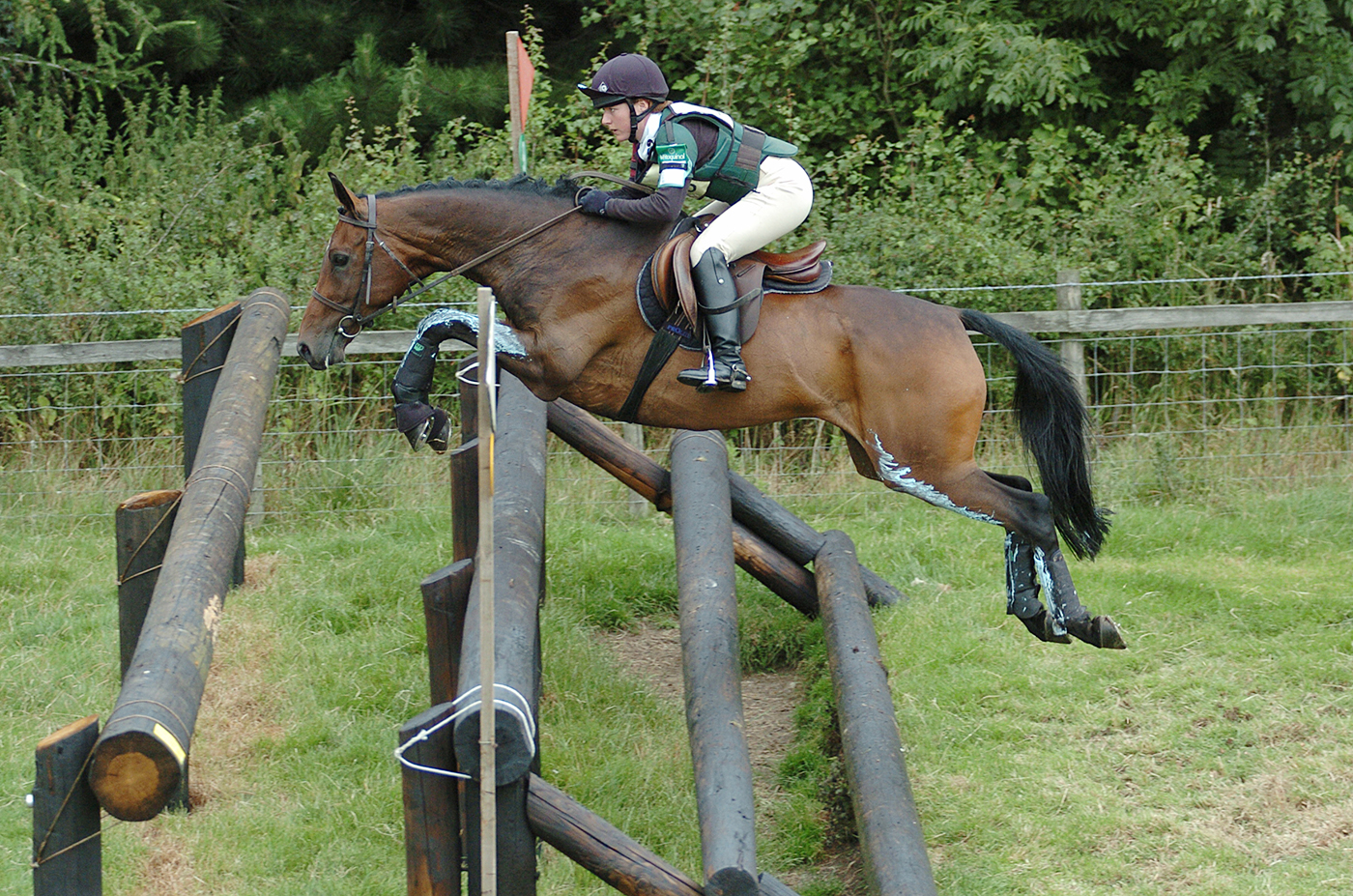 Alex Postolowsky and Diplomatic Jack