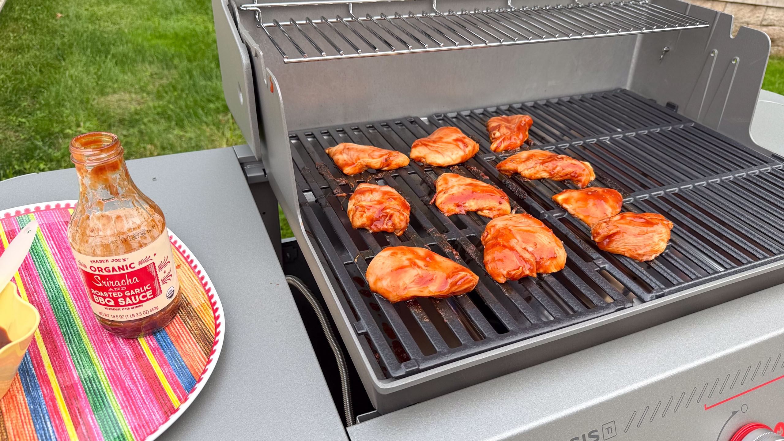 Weber Genesis E-325 Titanium Edition