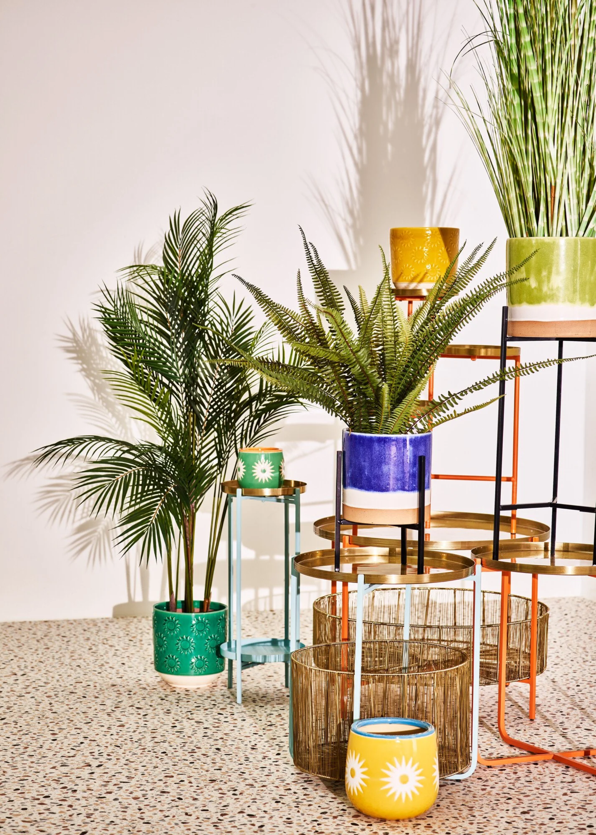 A bunch of potted plants, including a palm, a fern, and a grass plant in colorful ceramic planters on metal stands in a white room with a terrazzo floor