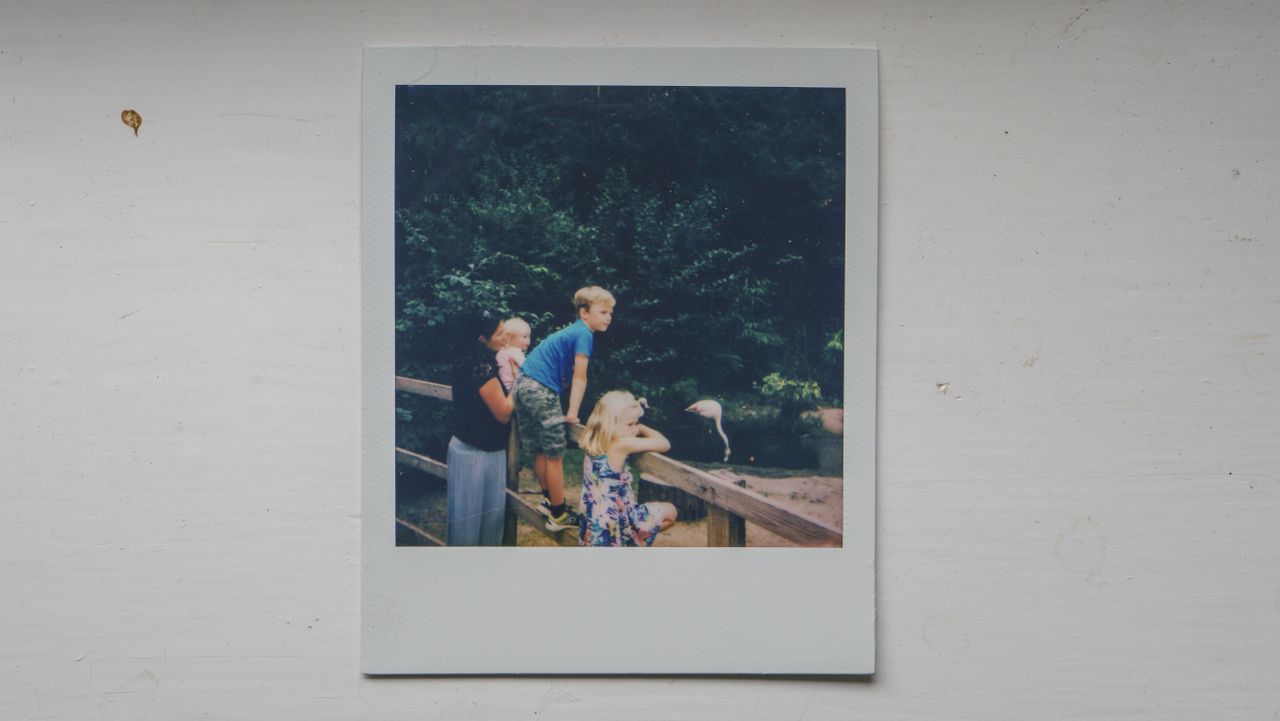 Polaroid Now Plus Sample Image