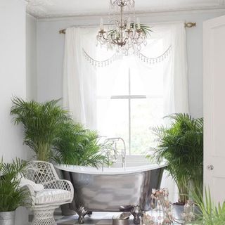 bathtub with plants around