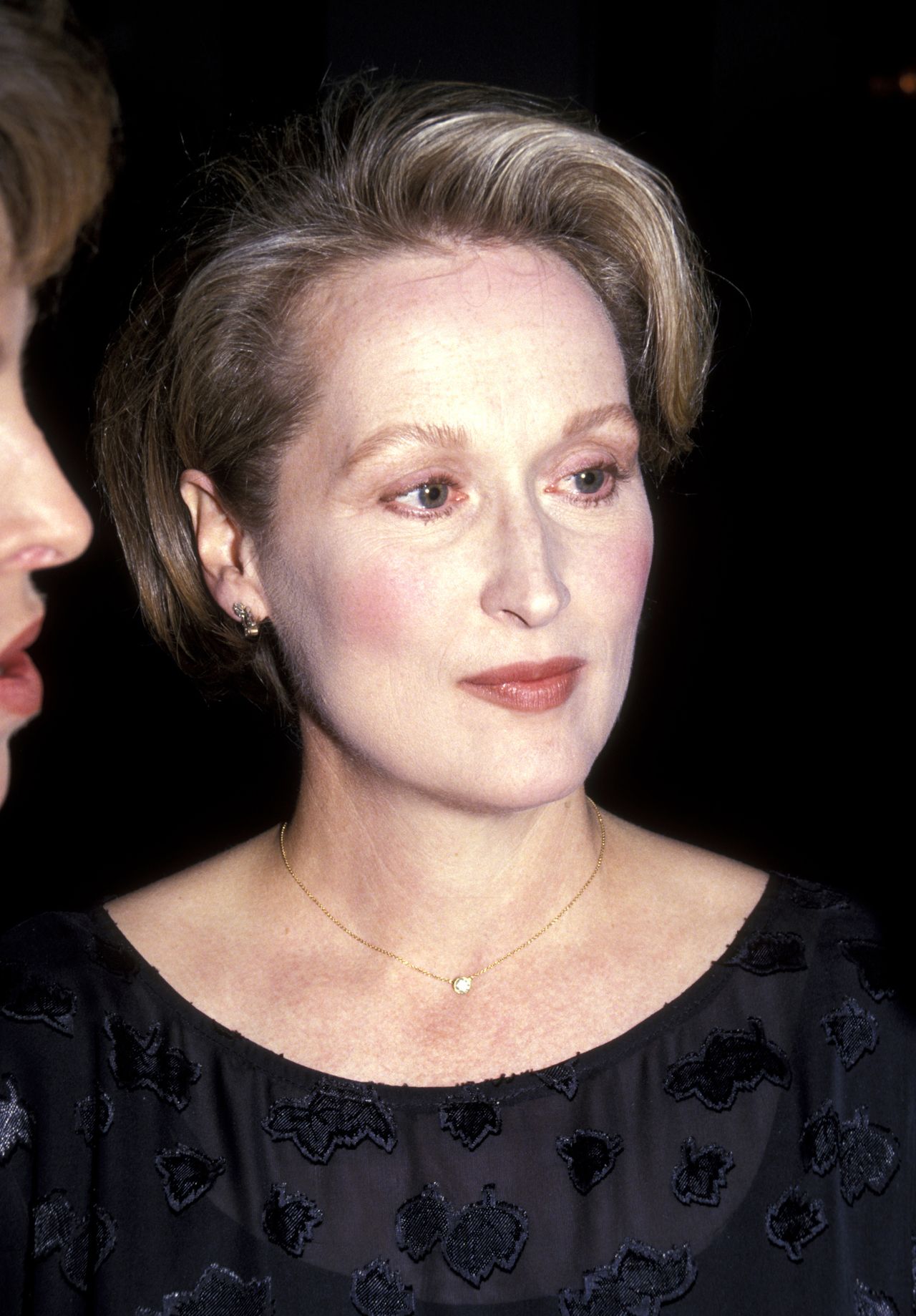 Meryl Streep during 1991 Vital Spirits Honor