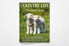 Cover of Country Life 1 April 2026, featuring Karel Gallas's picture of lambs 