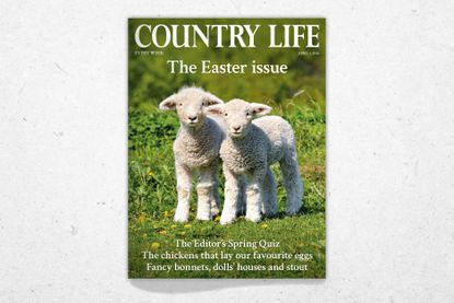 Cover of Country Life 1 April 2026, featuring Karel Gallas's picture of lambs 