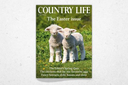 Cover of Country Life 1 April 2026, featuring Karel Gallas's picture of lambs