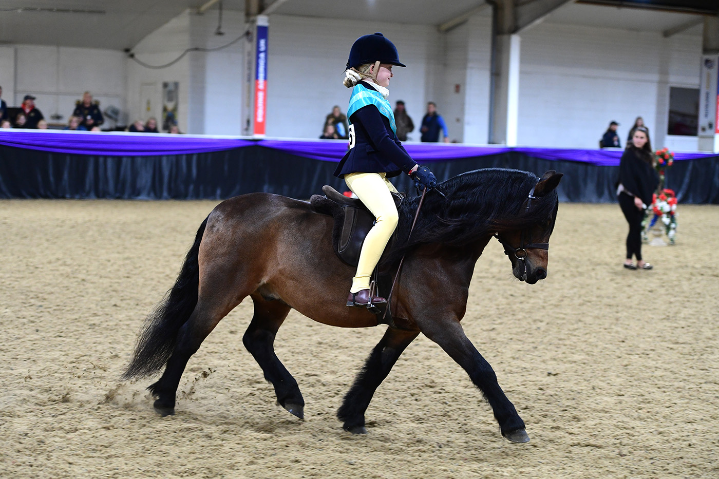 Heritage Show 15.10.22Heritage RIHS Mini Champs.No. 325 Feldons Red Kite