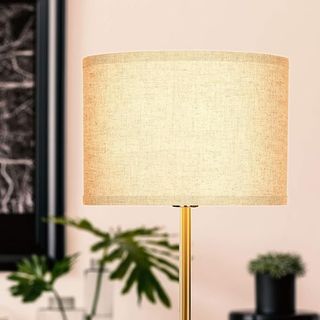 Brightech Emery LED Floor Lamp